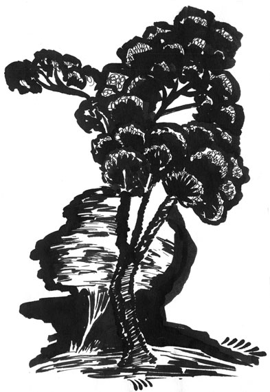 �������