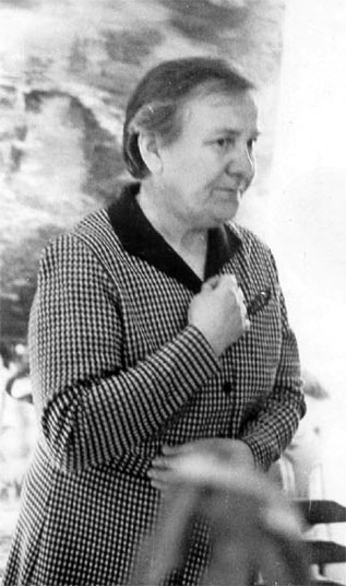 ³�� �������