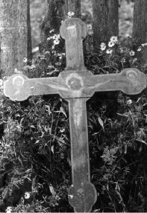������������ ����